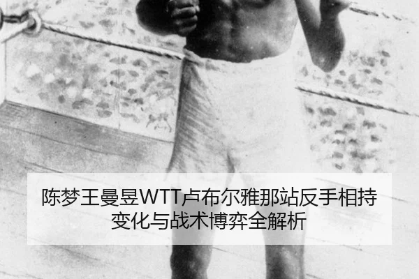 chen-meng-wang-man-yu-lu-bu-er-ya-na-zhan-fan-shou-xiang-chi-bian-hua-yu-zhan-shu-bo-yi-quan-jie-xi-3-271.jpg