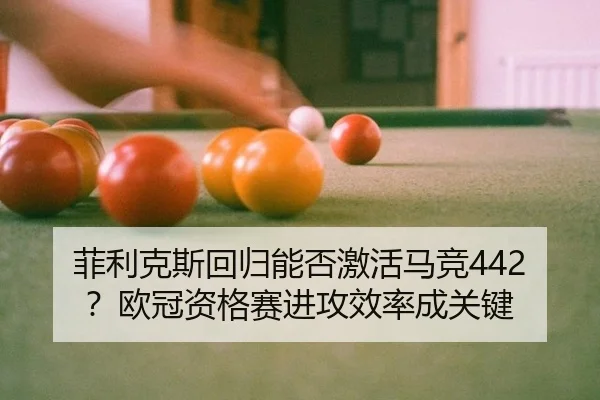 fei-li-ke-si-hui-gui-neng-fou-ji-huo-ma-jing-ou-guan-zi-ge-sai-jin-gong-xiao-lv-cheng-guan-jian-2-311.jpg