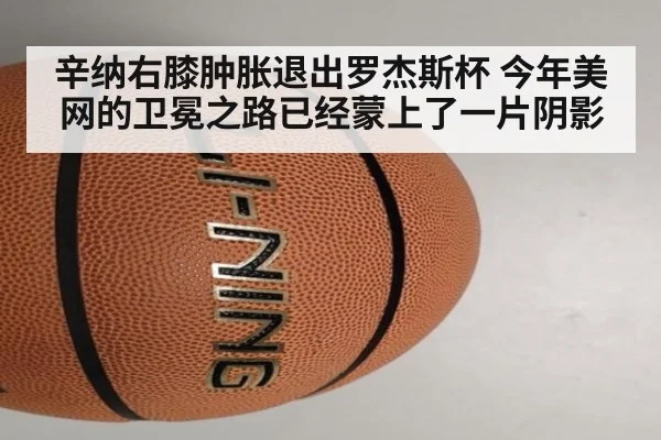 辛纳右膝肿胀退出罗杰斯杯 今年美网的卫冕之路已经蒙上了一片阴影