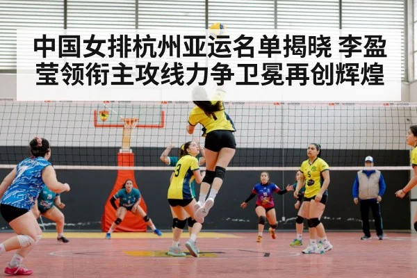 volleyball match arena